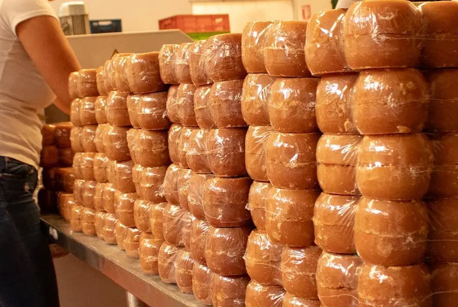 Enfriamiento y empaque