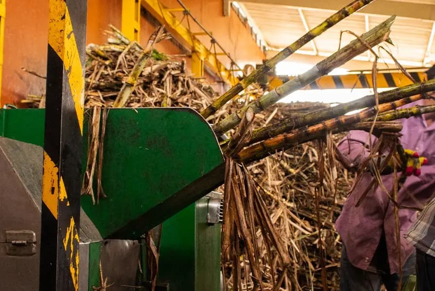 Transporte y molienda hover